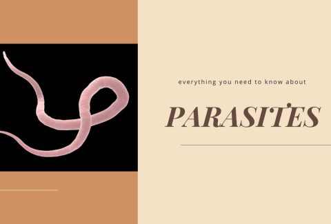 parasites