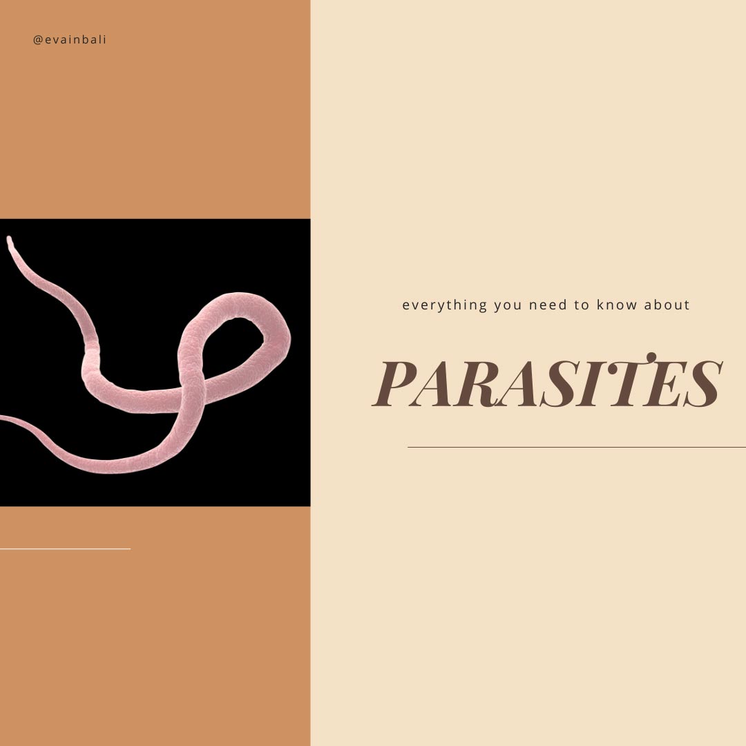 Everything You Need To Know About Parasites Live Essences